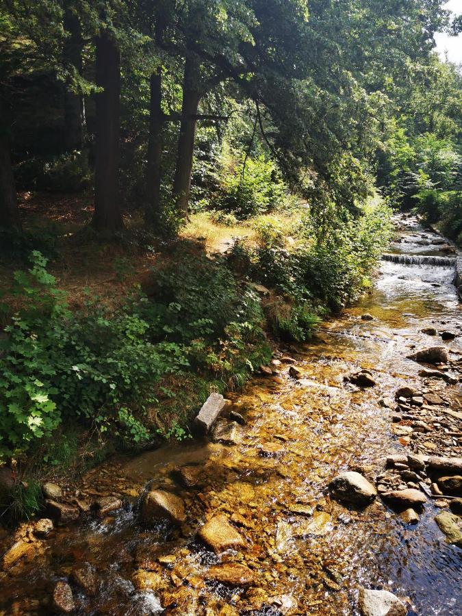 Chillout-Aparts Świeradów-Zdrój Zewnętrze zdjęcie